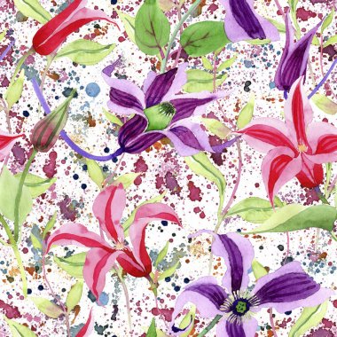 Kır çiçeği clematis hanajima çiçek deseni suluboya tarzında.