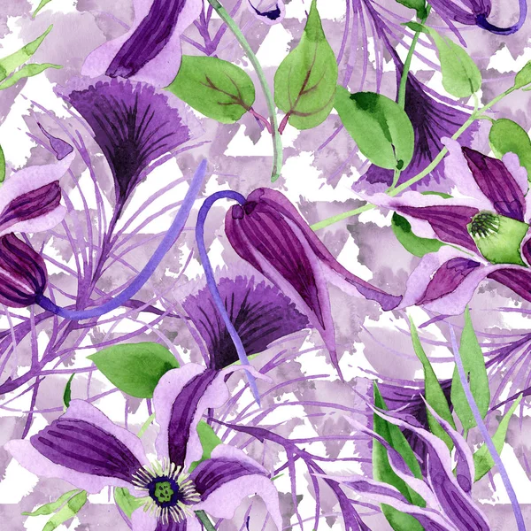 Kır çiçeği clematis hanajima çiçek deseni suluboya tarzında. — Stok fotoğraf