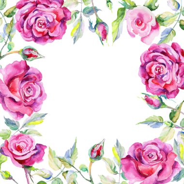 Kır çiçeği gül çiçek çerçeve suluboya tarzında.