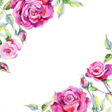 Kır çiçeği gül çiçek çerçeve suluboya tarzında.