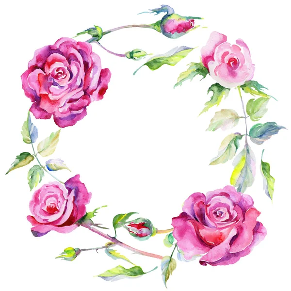 Цветочный венок из цветка дикой розы в акварельном стиле . — стоковое фото