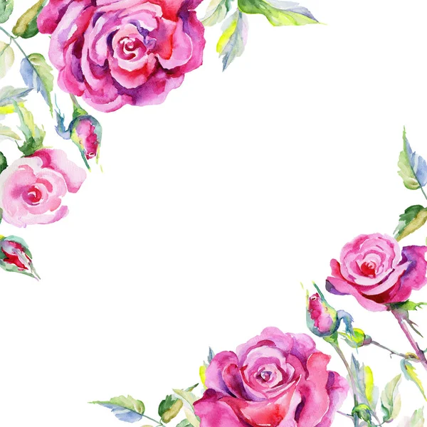 Wildflower kwiat róży rama w stylu przypominającym akwarele. — Zdjęcie stockowe