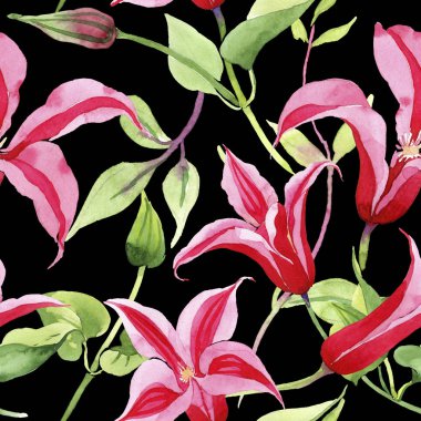 Kırmızı akasma. Botanik çiçek. Vahşi bahar yaprak kır çiçeği deseni.