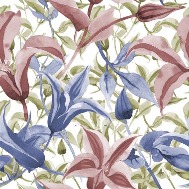 Kırmızı akasma. Botanik çiçek. Vahşi bahar yaprak kır çiçeği deseni.