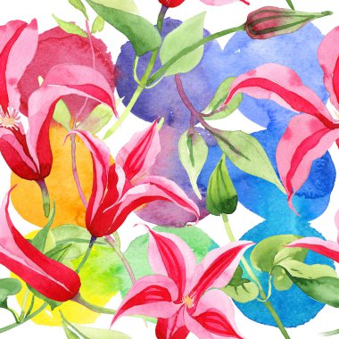 Kırmızı akasma. Botanik çiçek. Vahşi bahar yaprak kır çiçeği deseni.