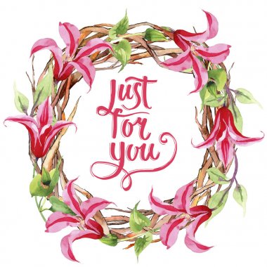 Kırmızı akasma. Botanik çiçek. Vahşi bahar yaprak kır çiçeği çerçeve.