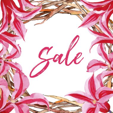 Kırmızı akasma. Botanik çiçek. Vahşi bahar yaprak kır çiçeği çerçeve.