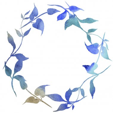 Kırmızı akasma. Botanik çiçek. Vahşi bahar yaprak kır çiçeği çerçeve.