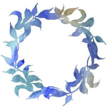 Kırmızı akasma. Botanik çiçek. Vahşi bahar yaprak kır çiçeği çerçeve.