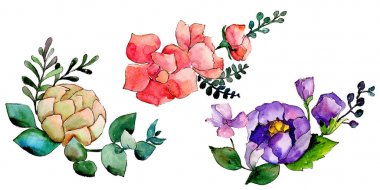 Renkli buket. Botanik çiçek. İzole vahşi bahar yaprak kır çiçeği.