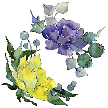 Renkli buket. Botanik çiçek. İzole vahşi bahar yaprak kır çiçeği.