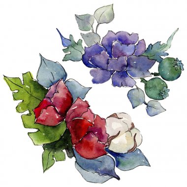 Renkli buket. Botanik çiçek. İzole vahşi bahar yaprak kır çiçeği.