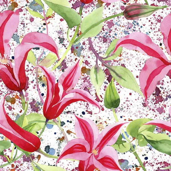 Red clematis. Floral botanical flower. Wild spring leaf wildflower pattern. — Stock Photo, Image