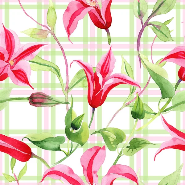 빨간 클레 마티스입니다. 꽃 식물 꽃입니다. 야생 봄 잎 플라워 패턴. — 스톡 사진