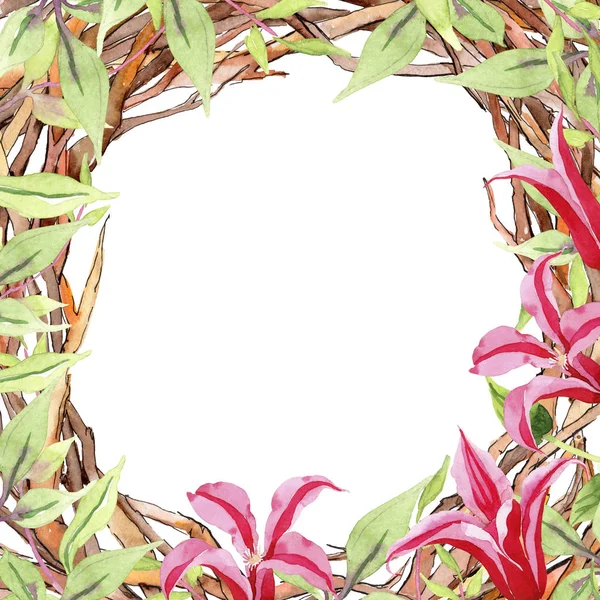빨간 클레 마티스입니다. 꽃 식물 꽃입니다. 야생 봄 잎 플라워 프레임. — 스톡 사진