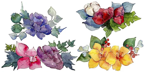 Renkli buket. Botanik çiçek. İzole vahşi bahar yaprak kır çiçeği.