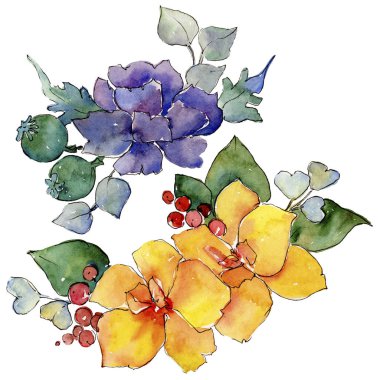 Renkli buket. Botanik çiçek. İzole vahşi bahar yaprak kır çiçeği.