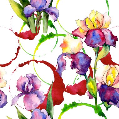 Renkli iris. Botanik çiçek. Vahşi bahar yaprak kır çiçeği deseni.