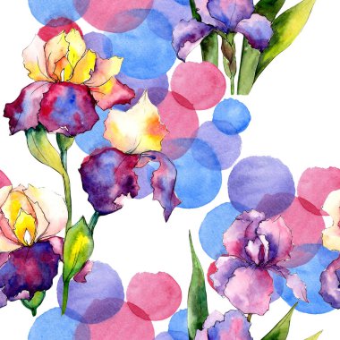 Renkli iris. Botanik çiçek. Vahşi bahar yaprak kır çiçeği deseni.