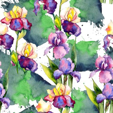 Renkli iris. Botanik çiçek. Vahşi bahar yaprak kır çiçeği deseni.
