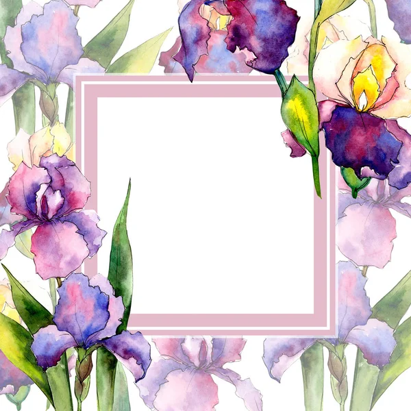 Iris coloridos. Flor botánica floral. Hoja de primavera salvaje marco de flores silvestres . — Foto de Stock