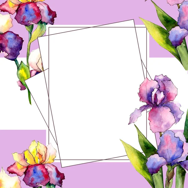 Iris coloridos. Flor botánica floral. Hoja de primavera salvaje marco de flores silvestres . — Foto de Stock