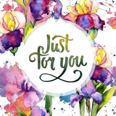 Renkli iris. Botanik çiçek. Vahşi bahar yaprak kır çiçeği çerçeve.