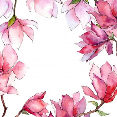 Pembe Manolya. Botanik çiçek. Vahşi bahar yaprak kır çiçeği çerçeve.