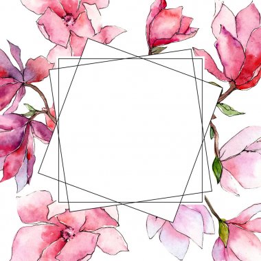 Pembe Manolya. Botanik çiçek. Vahşi bahar yaprak kır çiçeği çerçeve.