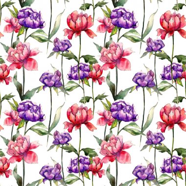 Renkli Şakayık. Botanik çiçek. Vahşi bahar yaprak kır çiçeği deseni.