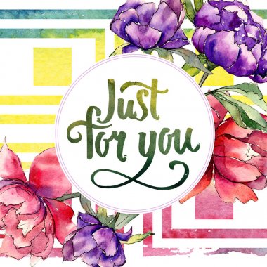 Renkli Şakayık. Botanik çiçek. Vahşi bahar yaprak kır çiçeği çerçeve.