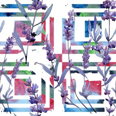 Mor lavanta. Botanik çiçek. Vahşi bahar yaprak kır çiçeği deseni.