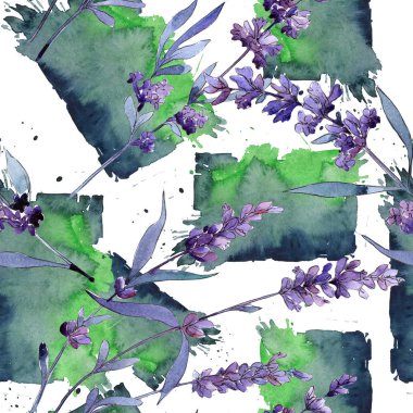 Mor lavanta. Botanik çiçek. Vahşi bahar yaprak kır çiçeği deseni.