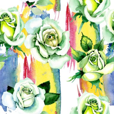 Beyaz güller. Botanik çiçek. Vahşi bahar yaprak kır çiçeği deseni.