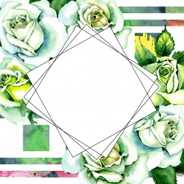 Beyaz güller. Botanik çiçek. Vahşi bahar yaprak kır çiçeği çerçeve.