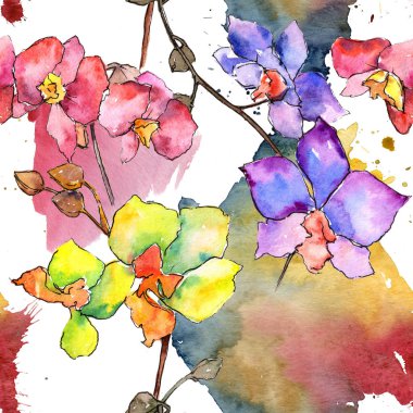 Renkli orkide. Botanik çiçek. Vahşi bahar yaprak kır çiçeği deseni.