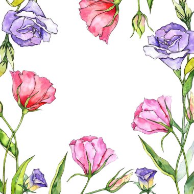 Kır çiçeği eustoma çiçek çerçeve suluboya tarzında.