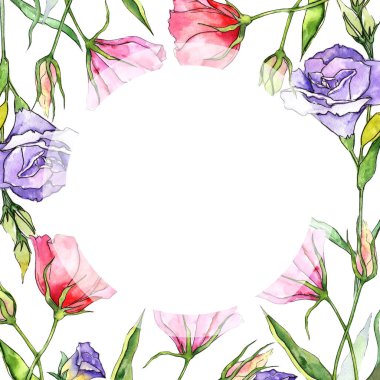 Kır çiçeği eustoma çiçek çerçeve suluboya tarzında.