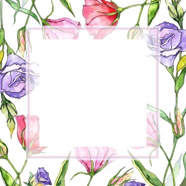 Kır çiçeği eustoma çiçek çerçeve suluboya tarzında.