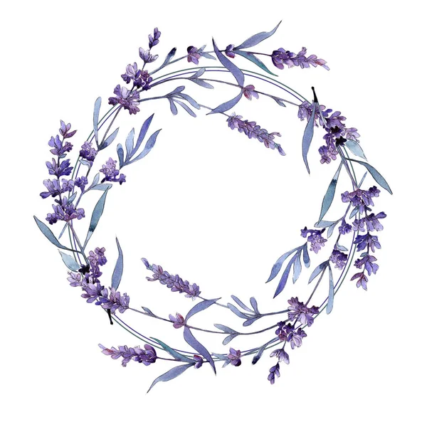 Violeta lavanda. Flor botánica floral. Hoja de primavera salvaje marco de flores silvestres . — Foto de Stock