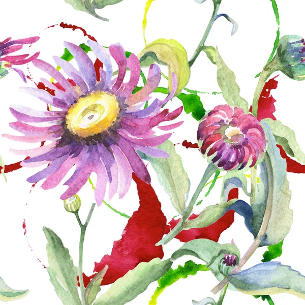 바이올렛 카모마일입니다. 꽃 식물 꽃입니다. 야생 봄 잎 플라워 패턴. — 스톡 사진