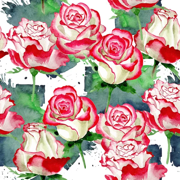 화이트-레드 로즈입니다. 꽃 식물 꽃입니다. 야생 봄 잎 플라워 패턴. — 스톡 사진
