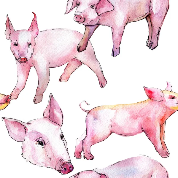 Animal selvagem de porco em um padrão de estilo aquarela . — Fotografia de Stock