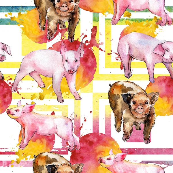 Cerdo salvaje animal en un patrón de estilo acuarela . — Foto de Stock