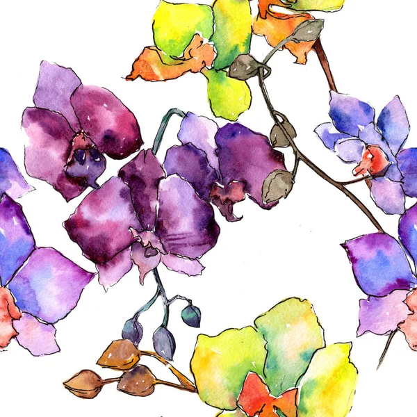 Orchid kolorowe. Botaniczny kwiat kwiatowy. Dzika wiosna wzór wildflower liścia. — Zdjęcie stockowe
