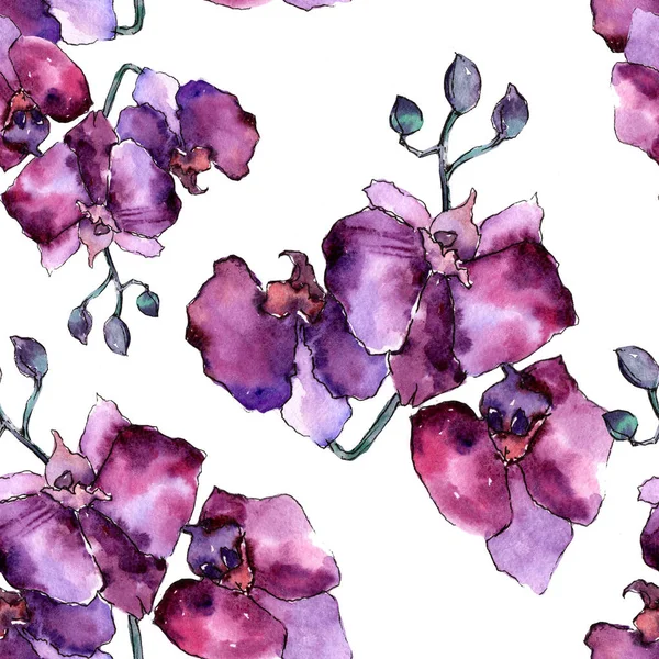 Kleurrijke orchidee. Floral botanische bloem. Wild voorjaar blad wildflower patroon. — Stockfoto