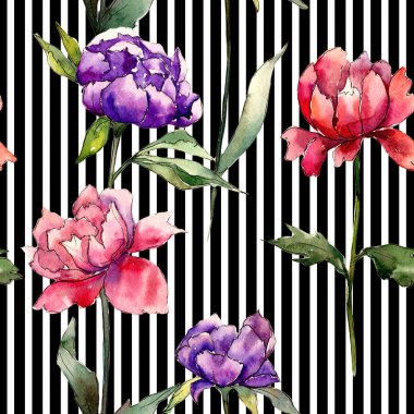 Renkli Şakayık. Botanik çiçek. Vahşi bahar yaprak kır çiçeği deseni.