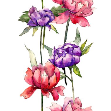 Renkli Şakayık. Botanik çiçek. Vahşi bahar yaprak kır çiçeği deseni.