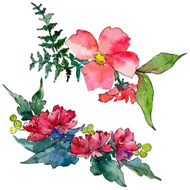 Renkli buket. Botanik çiçek. İzole vahşi bahar yaprak kır çiçeği.