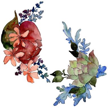 Renkli buket. Botanik çiçek. İzole vahşi bahar yaprak kır çiçeği.